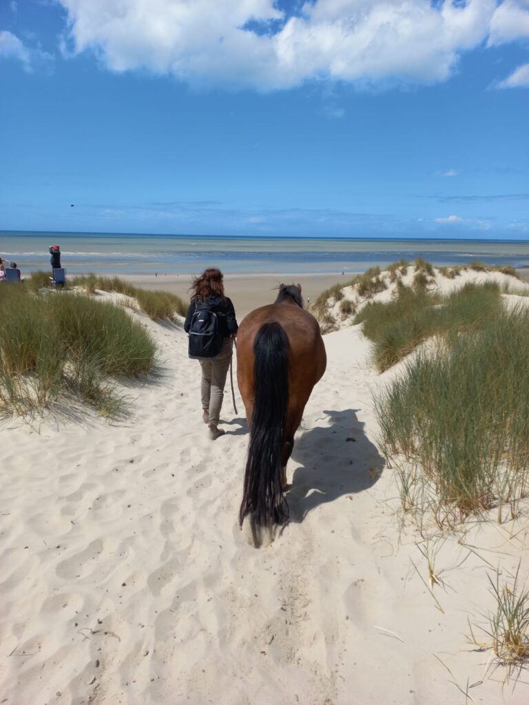 Femme marchant à côté de son cheval à la plage