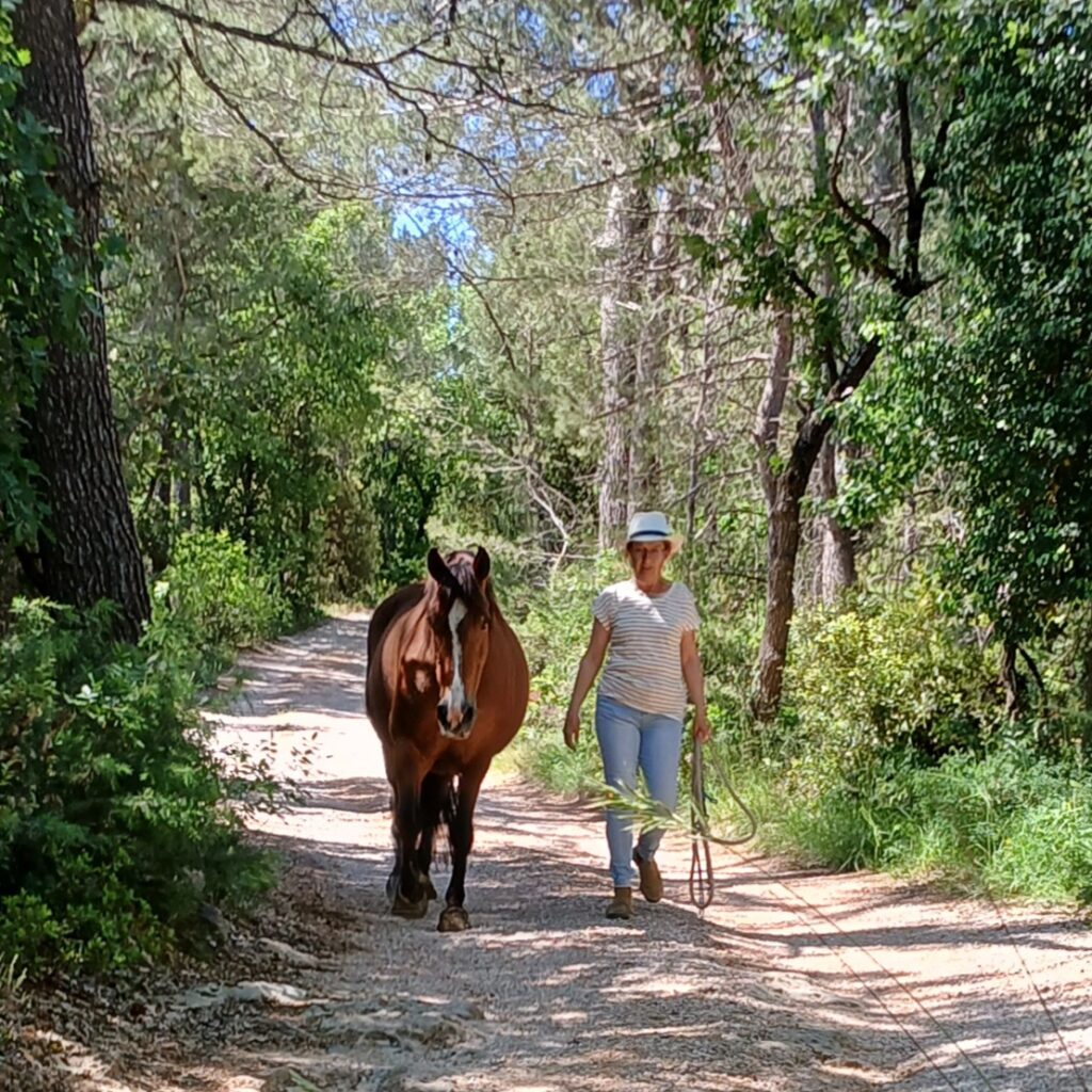 Et si l’on changeait de regard sur le leadership avec le cheval ? 1 20250523 111420 2